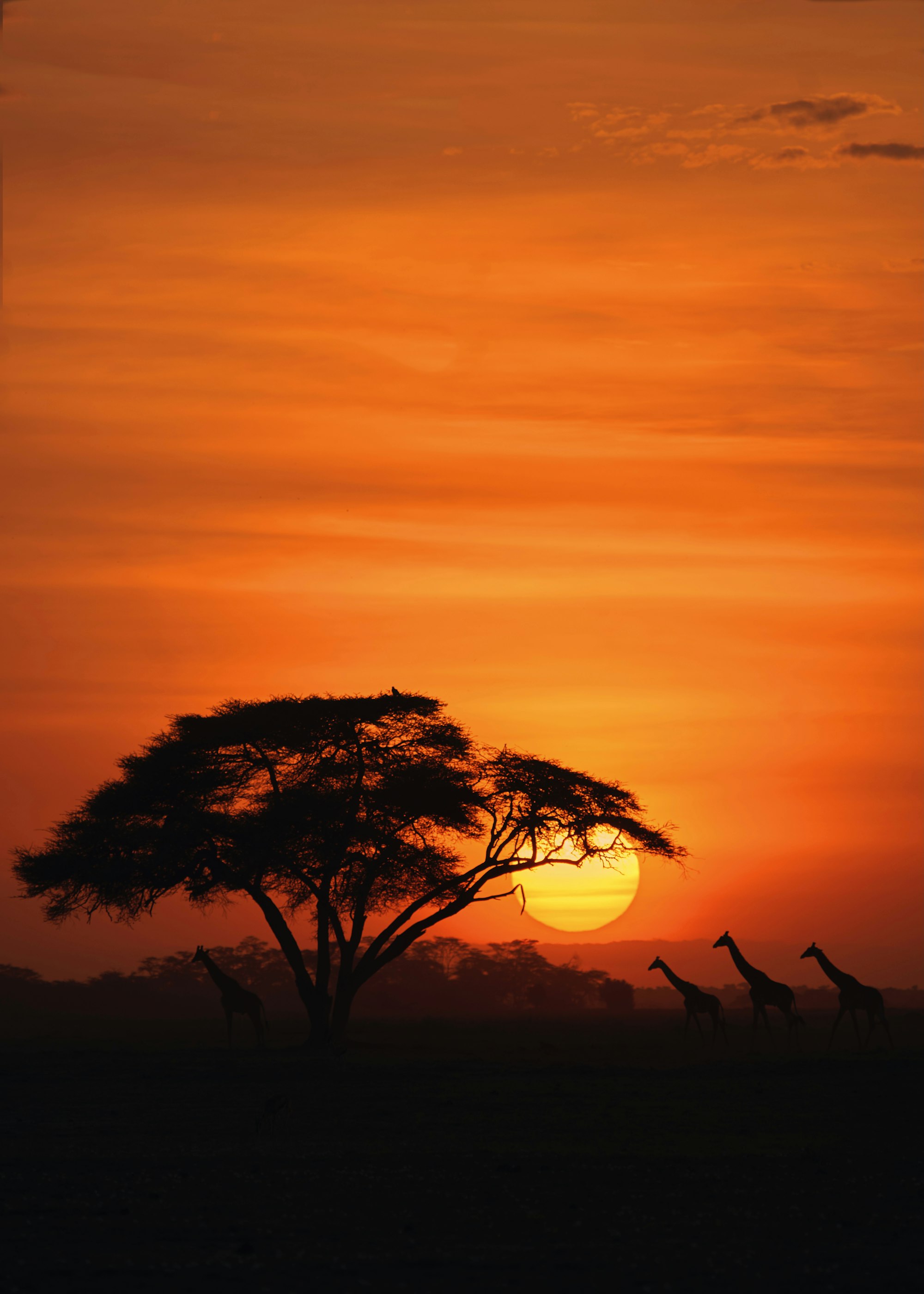 6 Day Umbwe Route