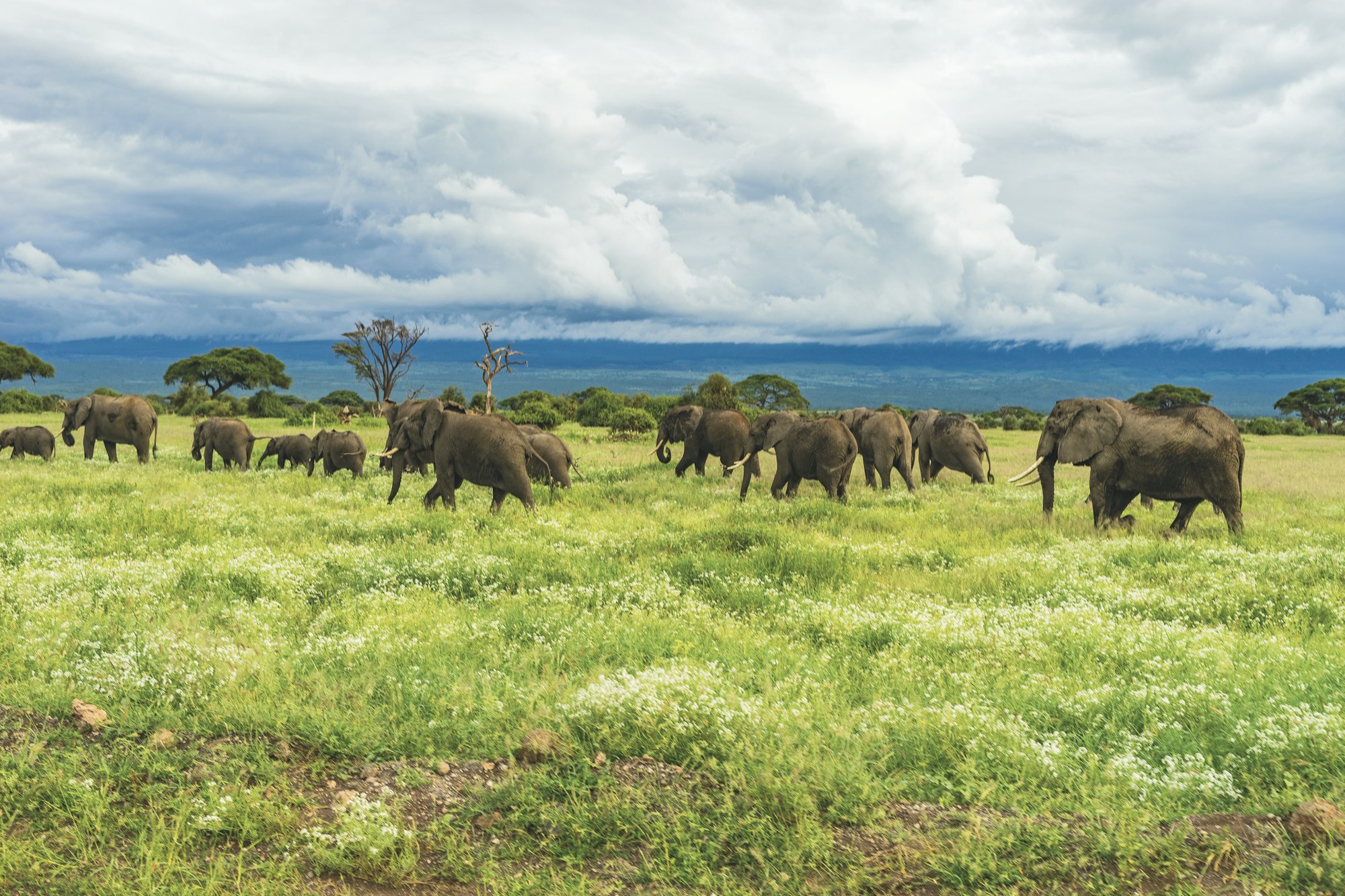 7 Day Rongai Route