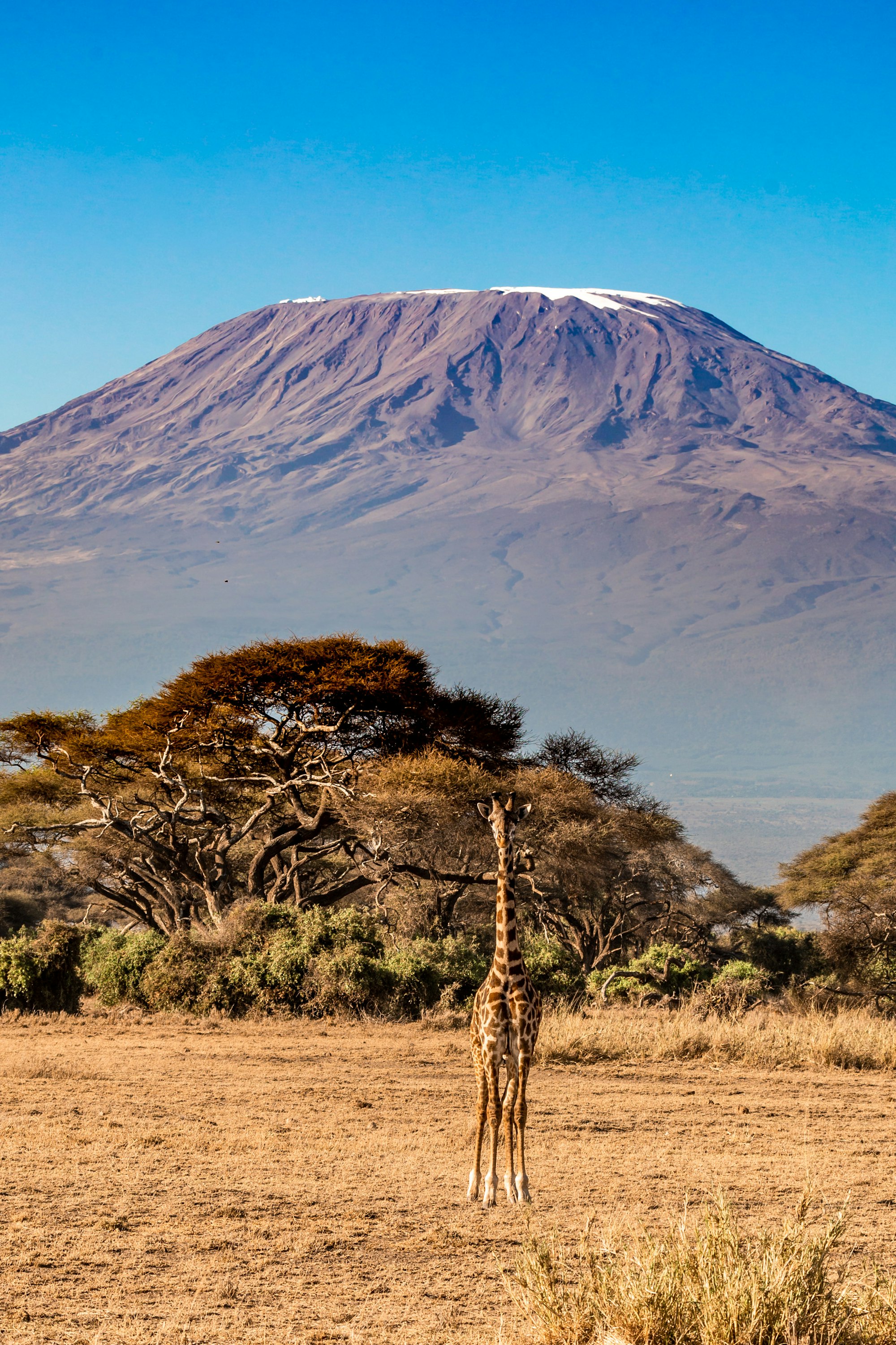 10 Days Kilimanjaro And Safari