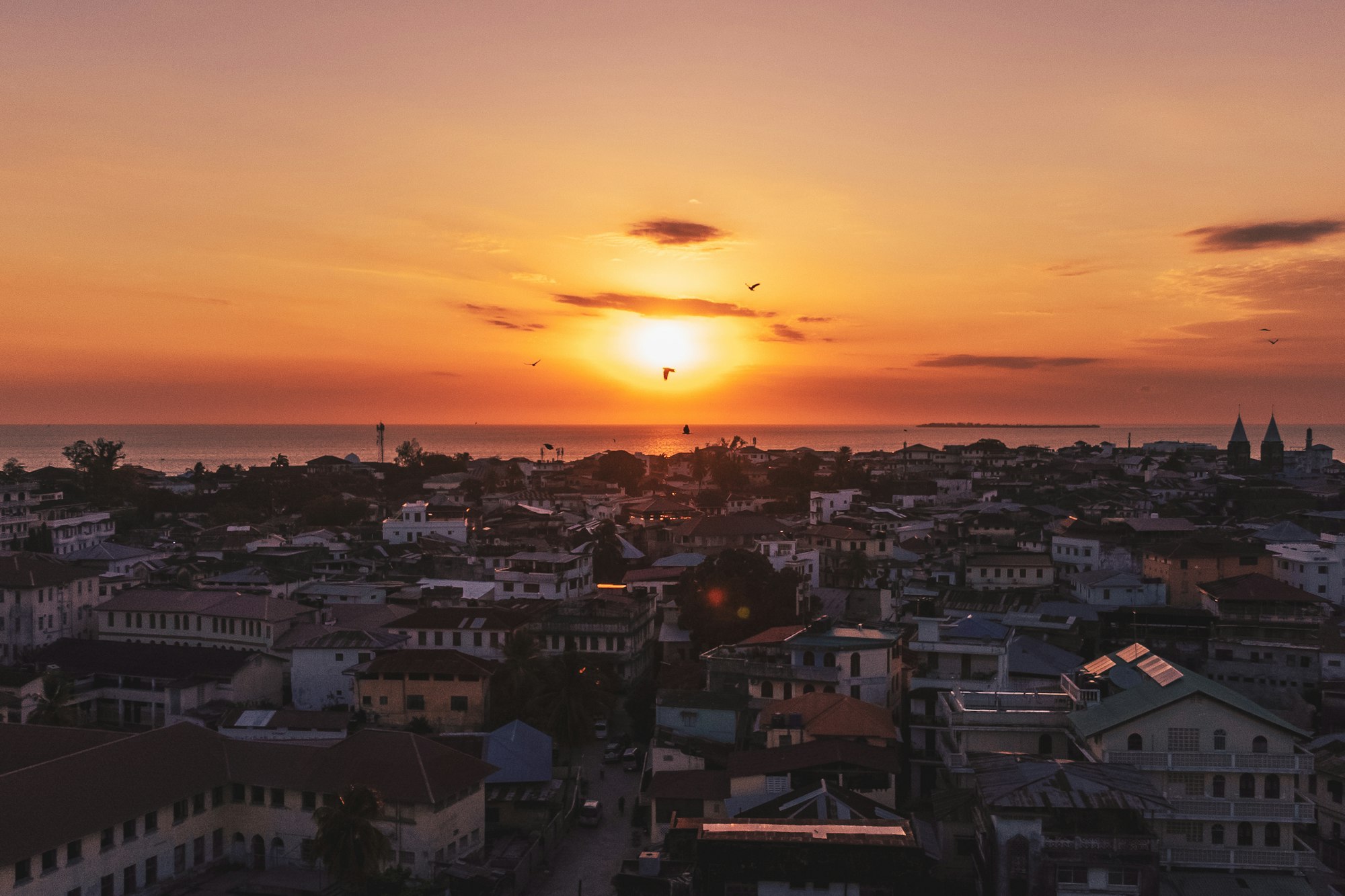 10 Day Wildlife Safari And Zanzibar Beach Holiday