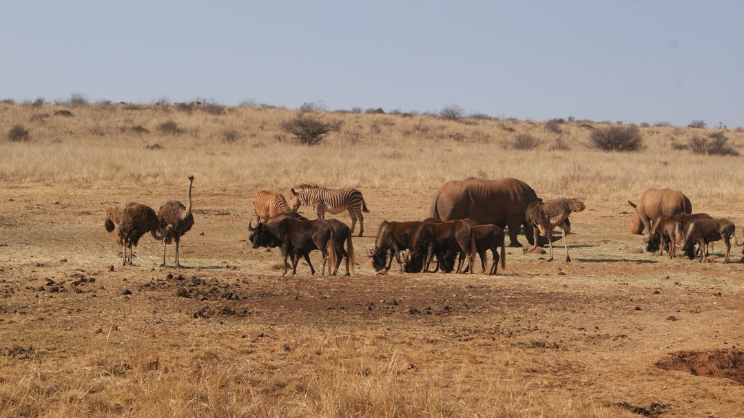 2 Days Lake Natron Tour