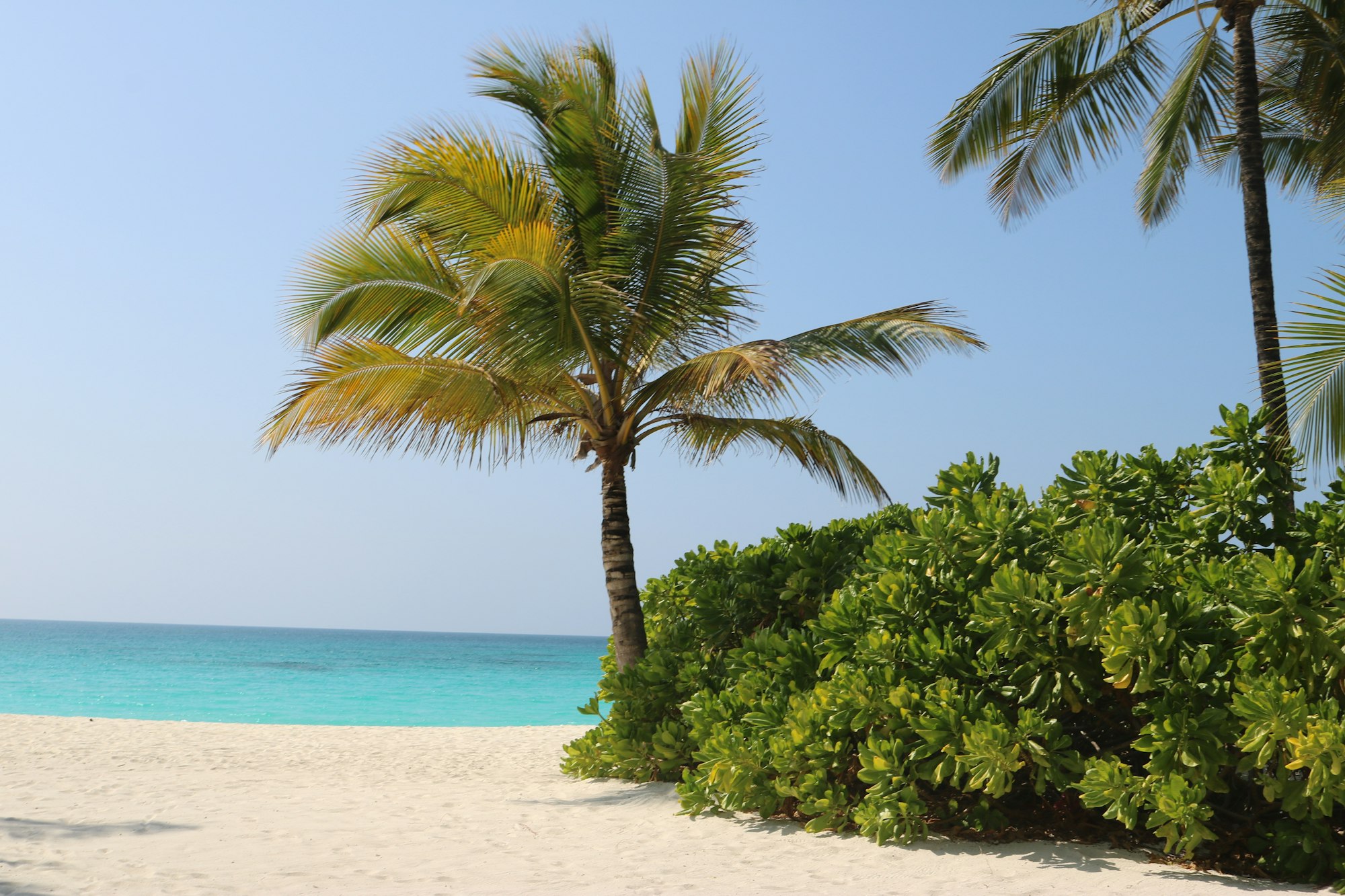 Zanzibar Safari Blue Day Trip