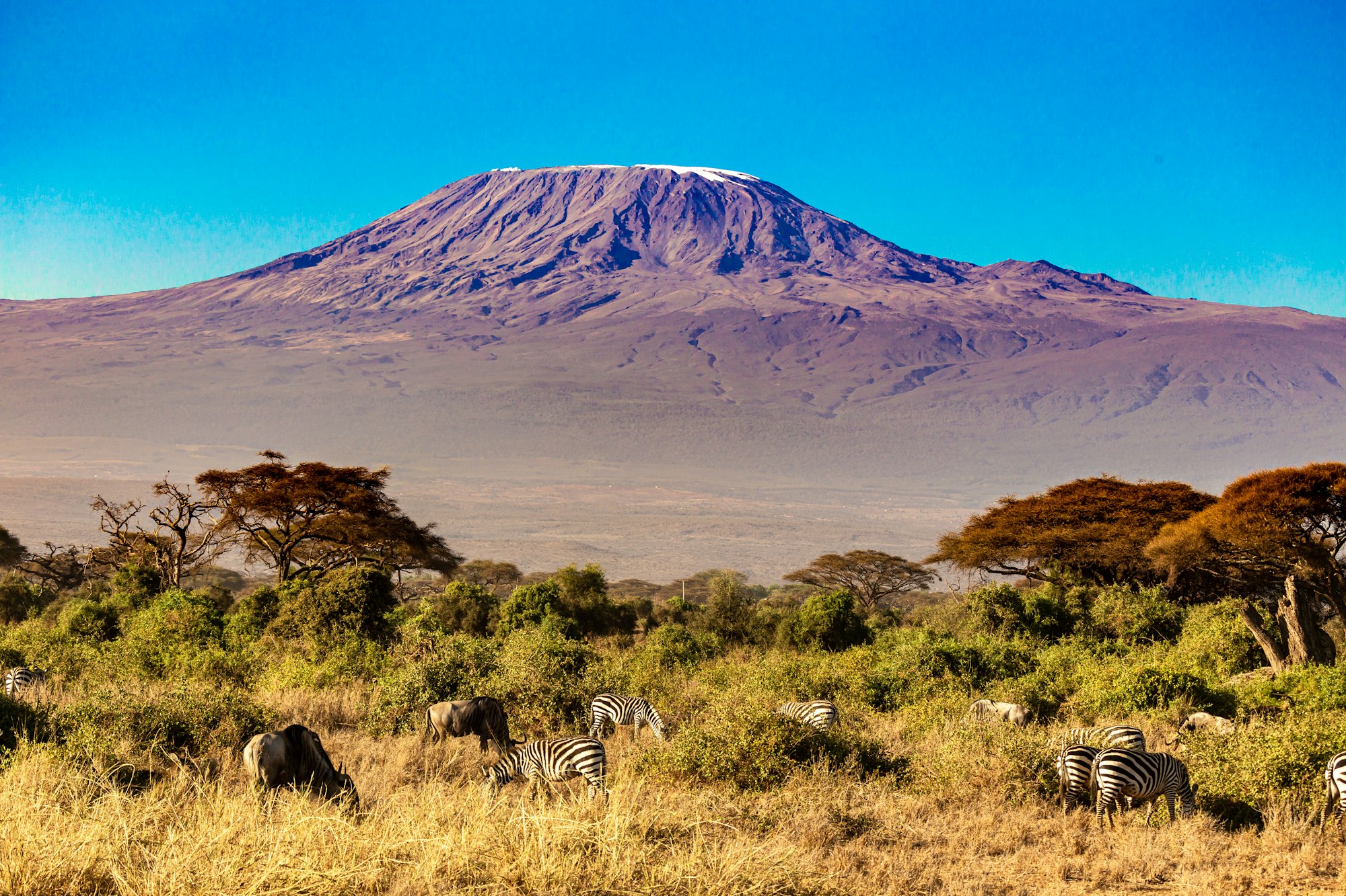 2 Weeks Safari And Kilimanjaro Trekking Package