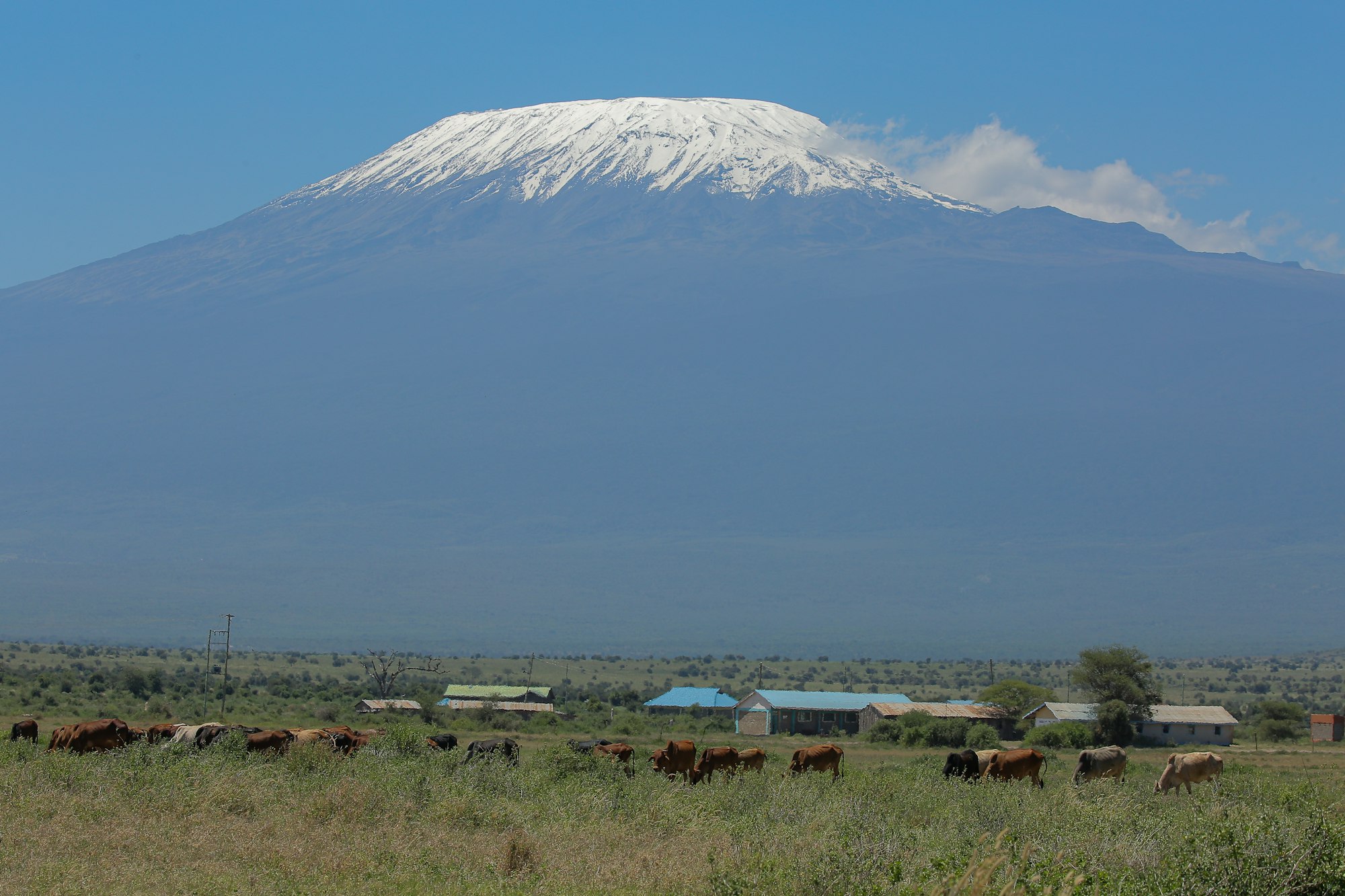 8 Day Lemosho Route